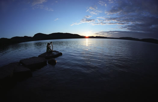 Susan playing the harp at sunset